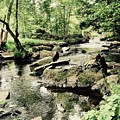 Nature Retreat